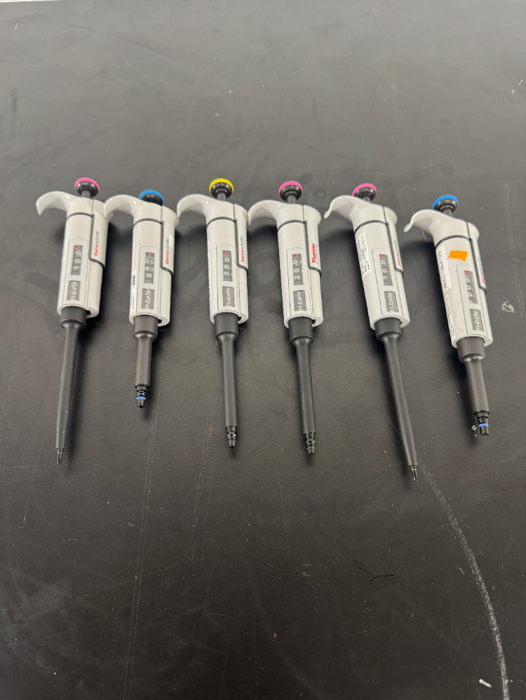 Image of Thermo F1-ClipTip Single Channel Pipettes - Quantity 6